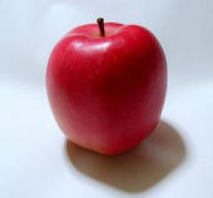 image2.jpg