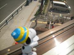 dscf1520.JPG