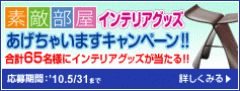 56565656.gif