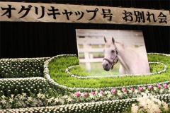 20100729-00000001-kiba-horse-view-000.jpg